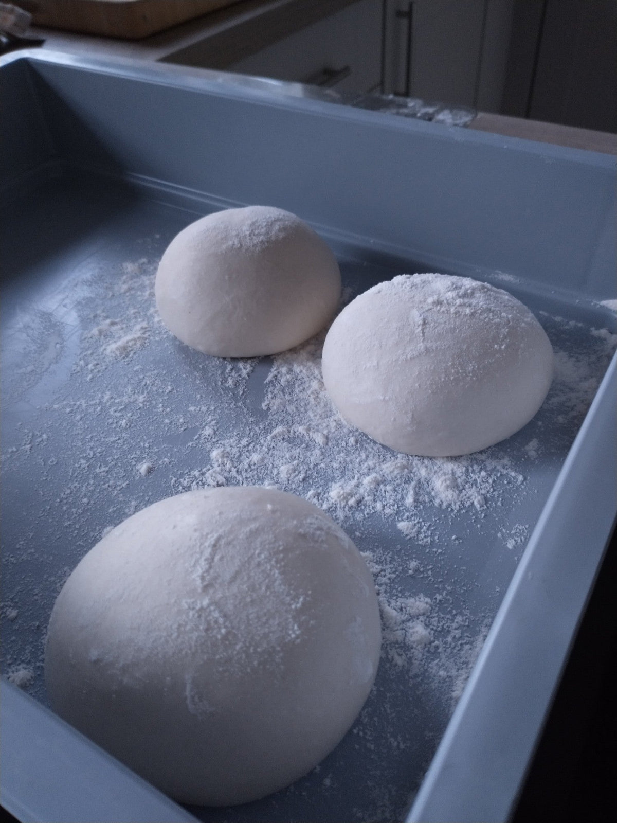 Papi Jim's dough balls dusted with flour, proving in a tray